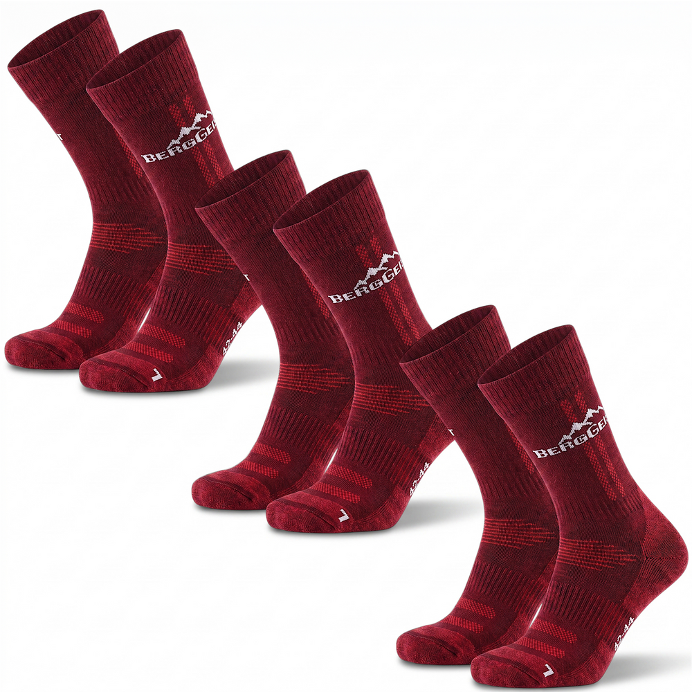 ALPINE ROSE 3er-Pack